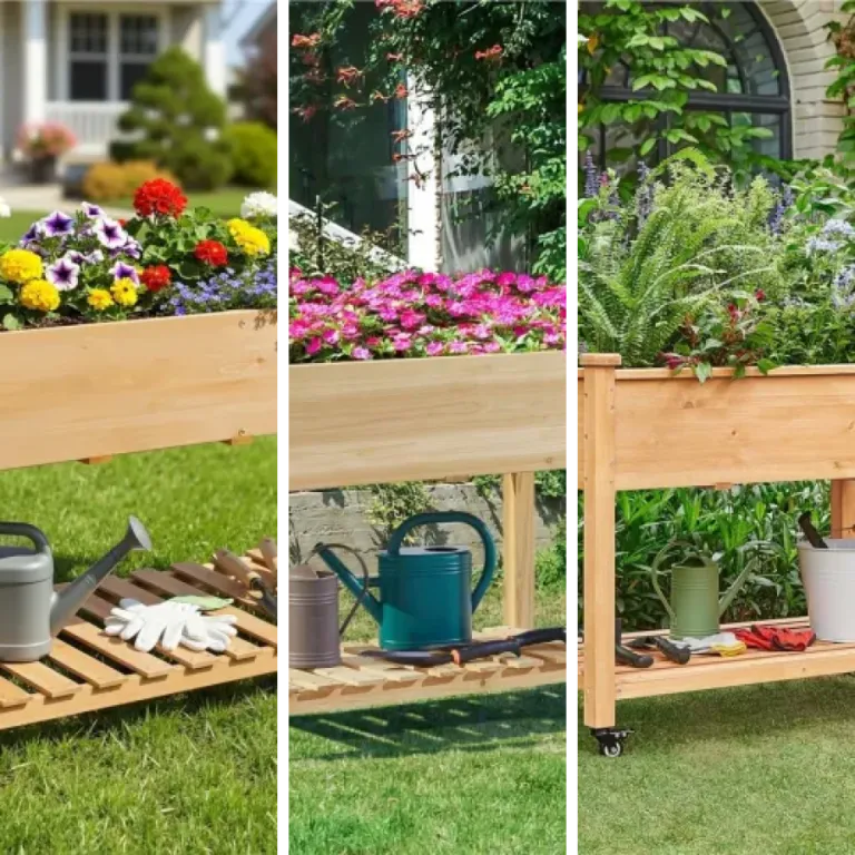 Classement des 6 meilleurs carrés potagers en bois (2026)