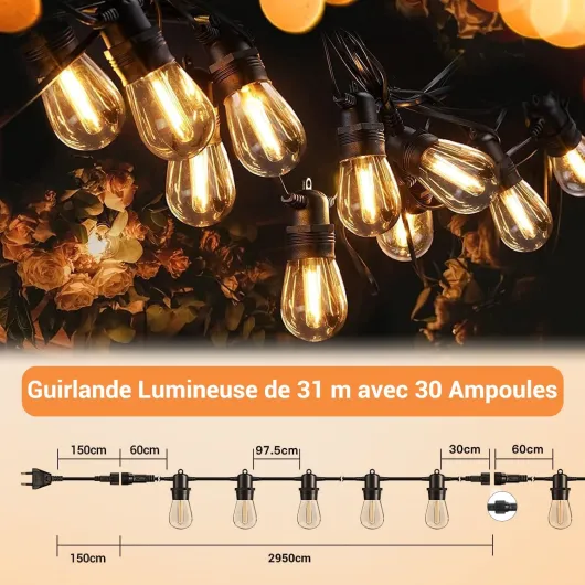 71mUr1CBbhL._AC_SL1500_