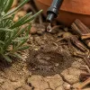94 départements en restriction d'eau : ce que la sécheresse de juillet 2026 change pour votre jardin