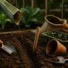 Semis de fin juillet : les légumes qu'on peut encore lancer en plein été