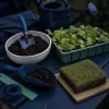 Motobineuse électrique pour petit potager : le seuil de surface où l'outil se justifie