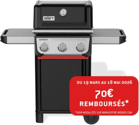 Barbecue à gaz Spirit E-310