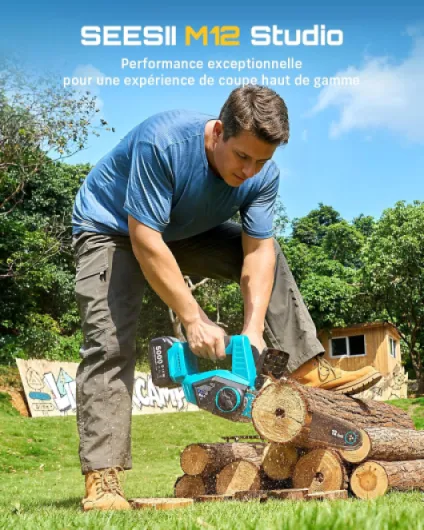 12 Pouces Tronconneuse Electrique pour Bois et Entretien du Jardin - Tronconneuse a Batterie avec 2×5.0Ah Batteries Brushless Tronçonneuse Lubrification Automatique & Tension de Chaîne Bleu Glace