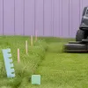 Entretien estival des espaces verts : le calendrier de tonte que les pros ajustent sans le dire