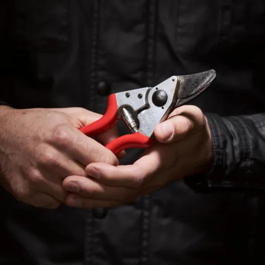 6 sécateur compact droitier main moyenne, coupe 20 mm - Tête inclinée et poignées aluminium forgé pour un confort de coupe durable sur petites branches et rosiers - Swiss Made - FELCO 6 - Droitier Main Moyenne (M)