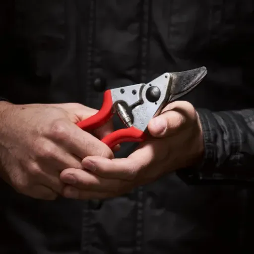 Test FELCO 6 : le sécateur compact qui fait le taf pour les mains moyennes